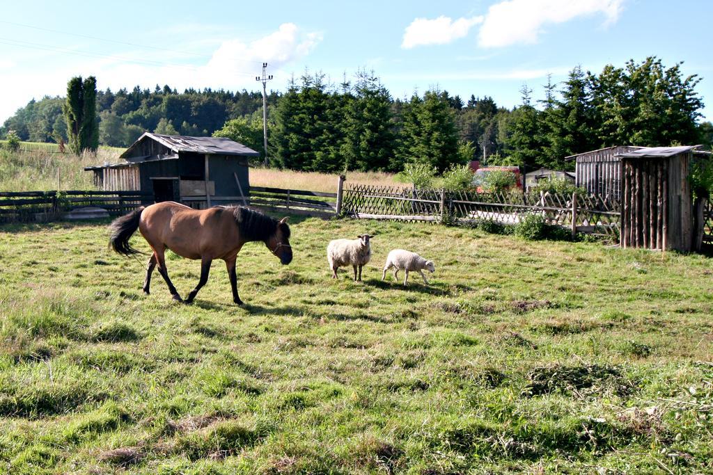 Penzion Muflon Bela nad Radbuzou Eksteriør bilde